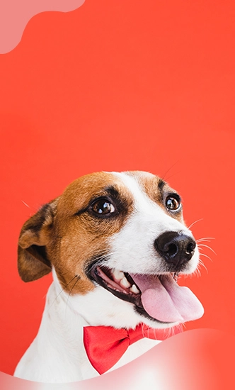 آرایشی و بهداشتی