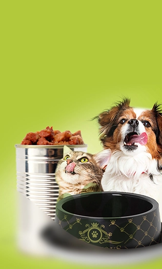 غذای تر و کنسرو